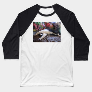 Funny Tuxedo Cat Sleeping Baseball T-Shirt